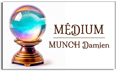 logo entreprise voyance petite taille-3